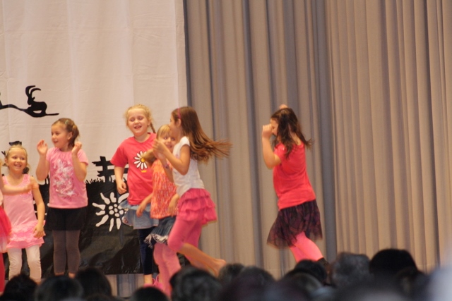 IMG 8782 (640x427)